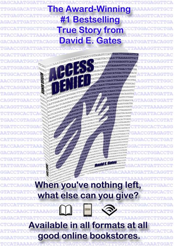 Access Denied Poster Nothing Left